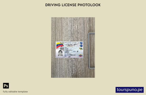 listo para imprimir licencia de conducir de Venezuela presente plantilla front 1